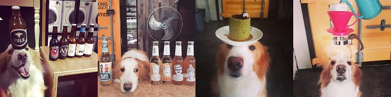【台北 咖啡店】咖啡店,洗衣店傻傻分不清處-WASH COFFEE穿越九千公理交給你 - 第34張圖 12189158_853952551389346_8184600218594532096_n拷貝