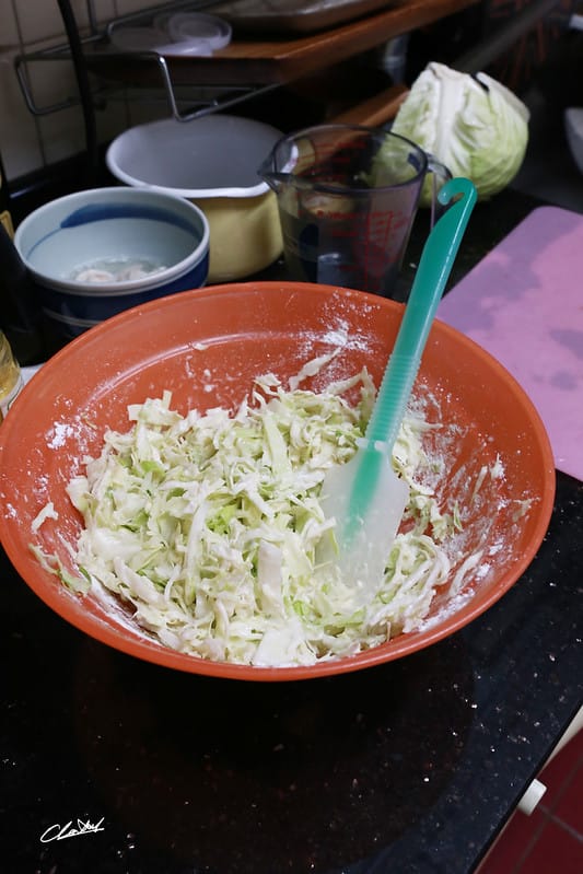 【毛小孩鮮食】大受好評的雞肉大阪燒(熱量約為450/一份) - 第4張圖 IMG_1289拷貝
