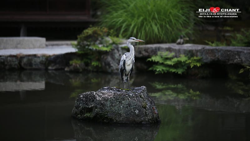 IMG_1027拷貝