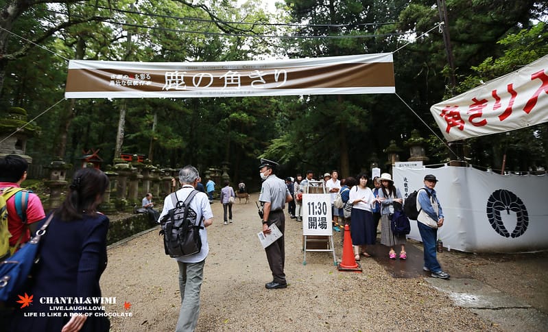 2016京阪奈-終於出發了!我跟姊妹的10週年日本行———–恐怖的鹿,腳超酸的東大寺,春日大社,中谷堂熱呼呼超好吃的麻糬(奈良半日遊) - 第63張圖 IMG_7425拷貝