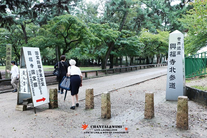 2016京阪奈-終於出發了!我跟姊妹的10週年日本行———–恐怖的鹿,腳超酸的東大寺,春日大社,中谷堂熱呼呼超好吃的麻糬(奈良半日遊) - 第12張圖 IMG_7066拷貝