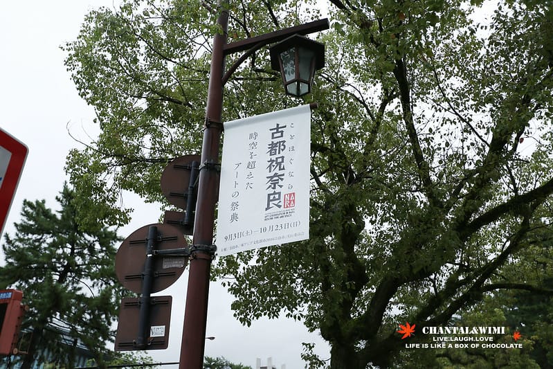2016京阪奈-終於出發了!我跟姊妹的10週年日本行———–恐怖的鹿,腳超酸的東大寺,春日大社,中谷堂熱呼呼超好吃的麻糬(奈良半日遊) - 第8張圖 IMG_7064拷貝
