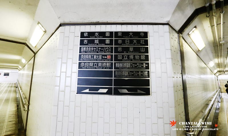 2016京阪奈-終於出發了!我跟姊妹的10週年日本行———–恐怖的鹿,腳超酸的東大寺,春日大社,中谷堂熱呼呼超好吃的麻糬(奈良半日遊) - 第11張圖 IMG_7091拷貝