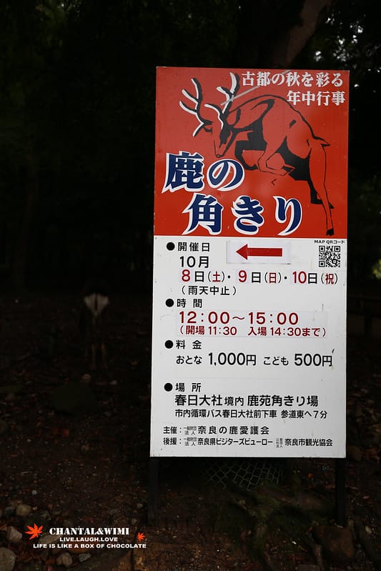2016京阪奈-終於出發了!我跟姊妹的10週年日本行———–恐怖的鹿,腳超酸的東大寺,春日大社,中谷堂熱呼呼超好吃的麻糬(奈良半日遊) - 第62張圖 IMG_7369拷貝
