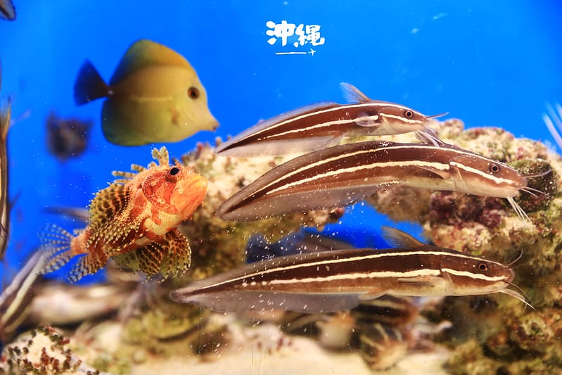 IMG_2030拷貝