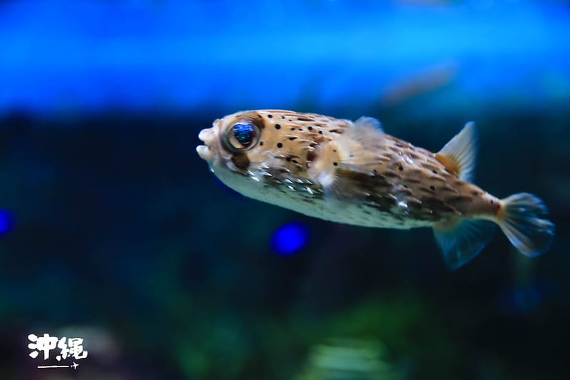 IMG_2089-2拷貝