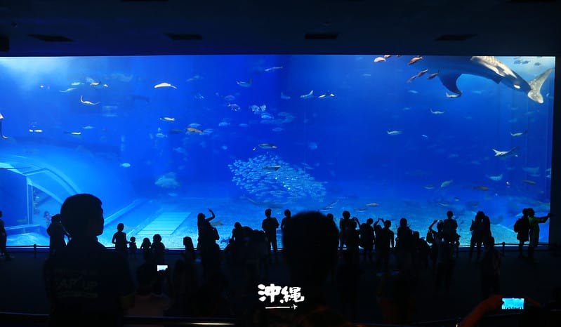 IMG_2709拷貝