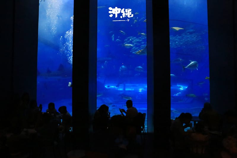IMG_2251拷貝