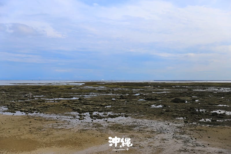 2016 沖縄 X 浜邊の茶屋(記得要查好漲潮時間再來,才能看到美麗的海景喔!) - 第17張圖 IMG_1351拷貝