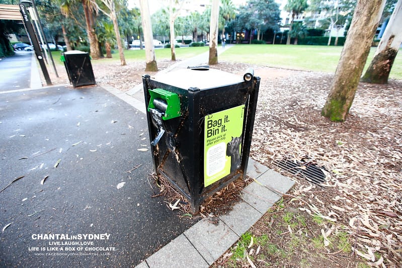 【SYDNEY。雪梨】MERITON SERVICED APARTMENT waterloo (健身房,超市…等飯店週邊) - 第13張圖 IMG_0279-2拷貝