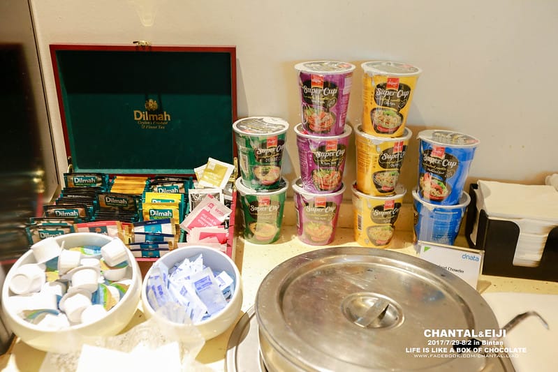 【Singapore】登機前的小小享受:搖擺不定的貴賓室4選1-DNATA Lounge (我每間都想去拉!) - 第20張圖 IMG_7790 2 拷貝-2拷貝