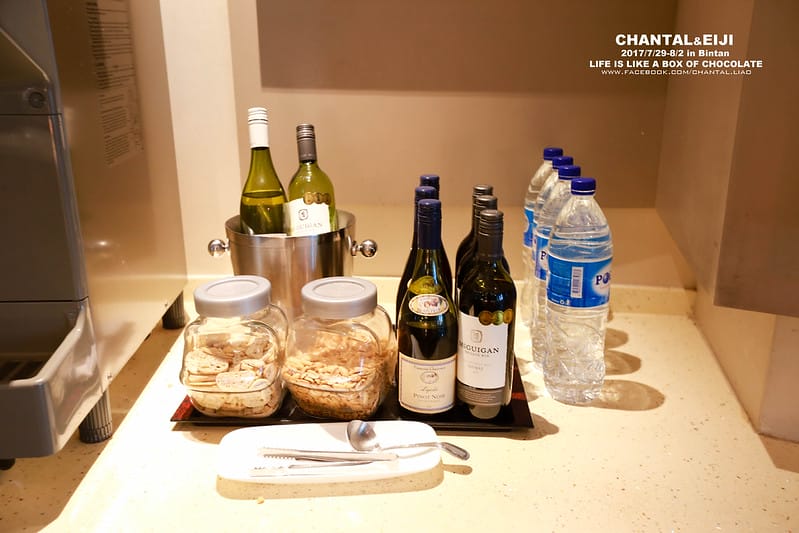 【Singapore】登機前的小小享受:搖擺不定的貴賓室4選1-DNATA Lounge (我每間都想去拉!) - 第12張圖 IMG_7784 2 拷貝-2拷貝