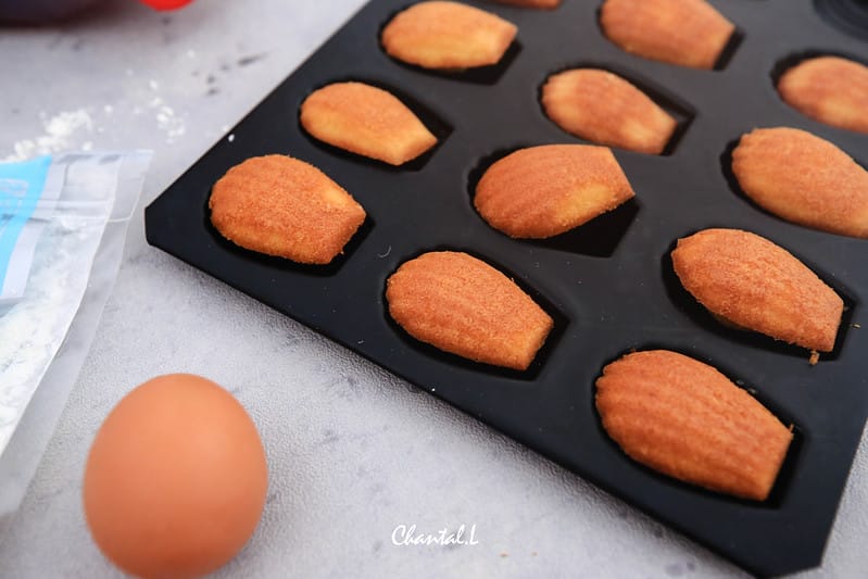 瑪德蓮