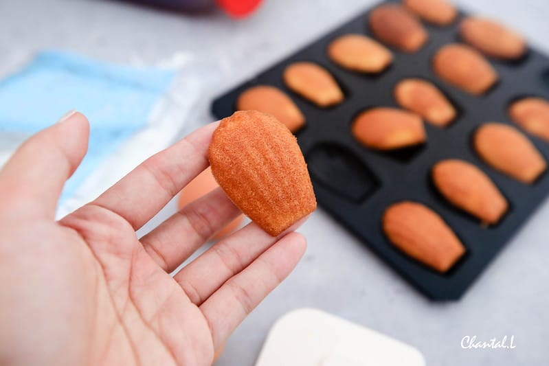 瑪德蓮