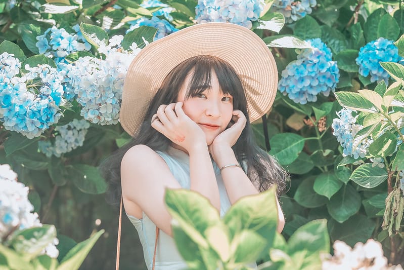 繡球花