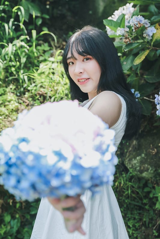 繡球花
