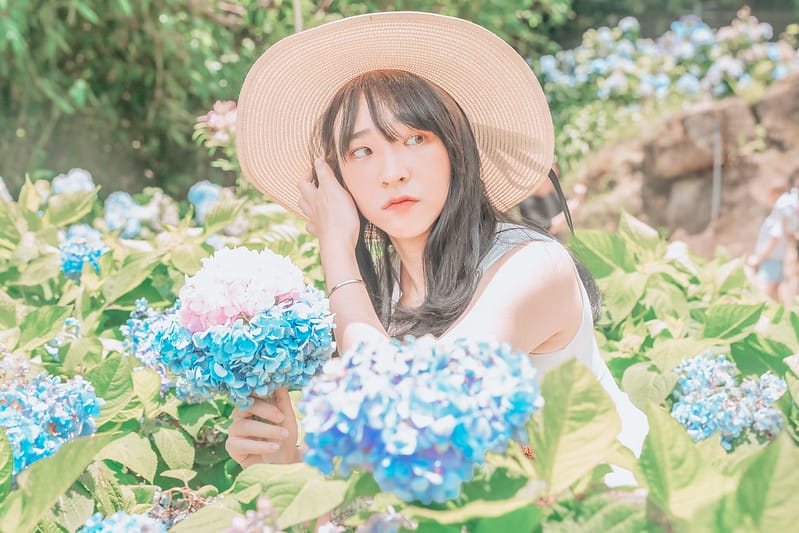 繡球花