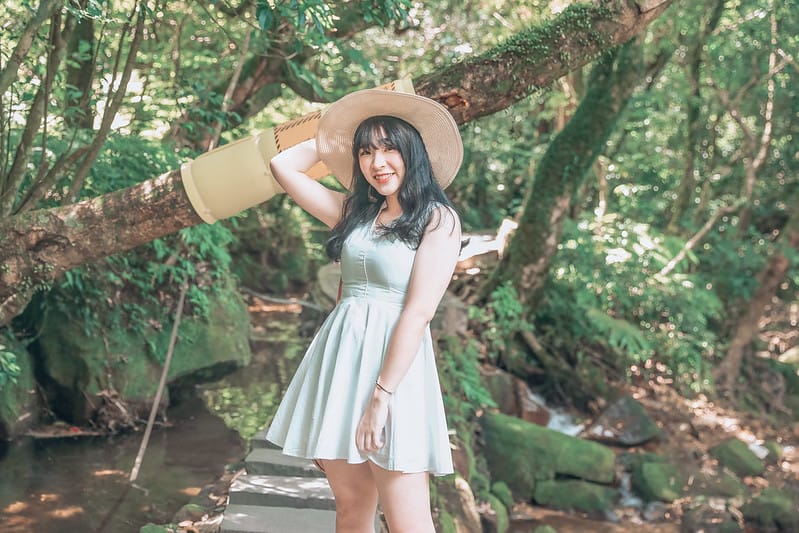 繡球花