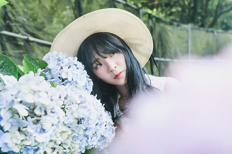 繡球花