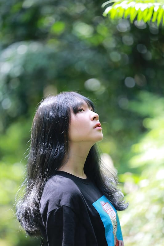 繡球花