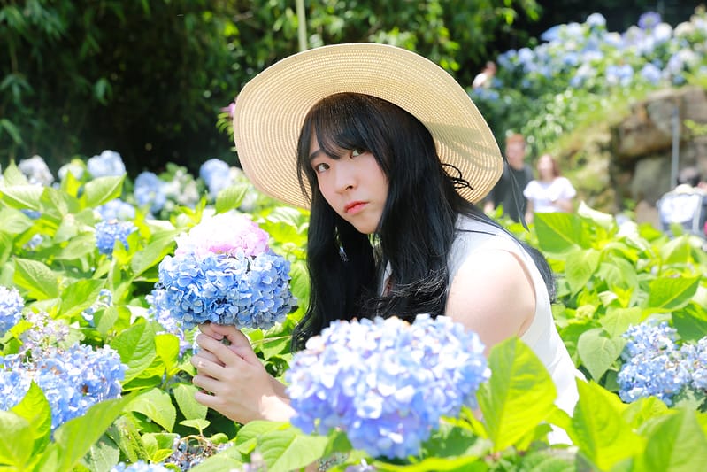 繡球花