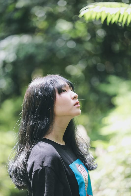 繡球花
