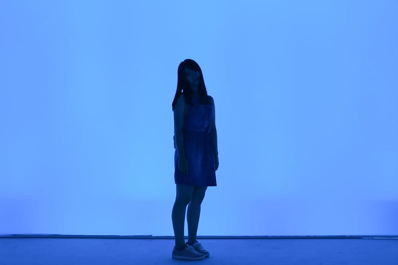跳到兔子洞
