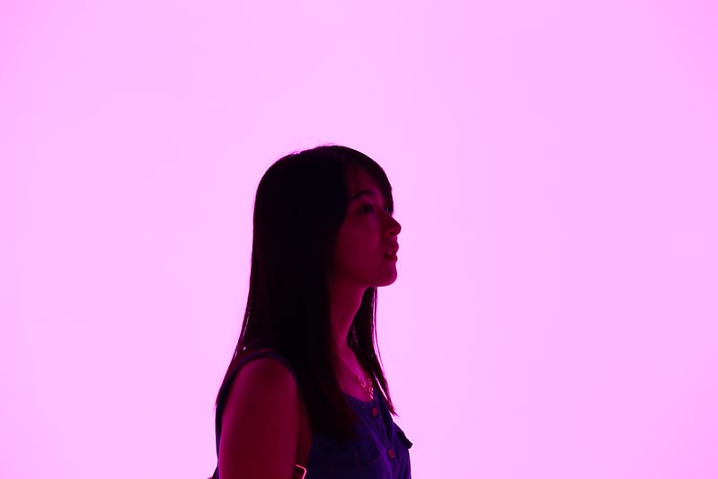 跳到兔子洞