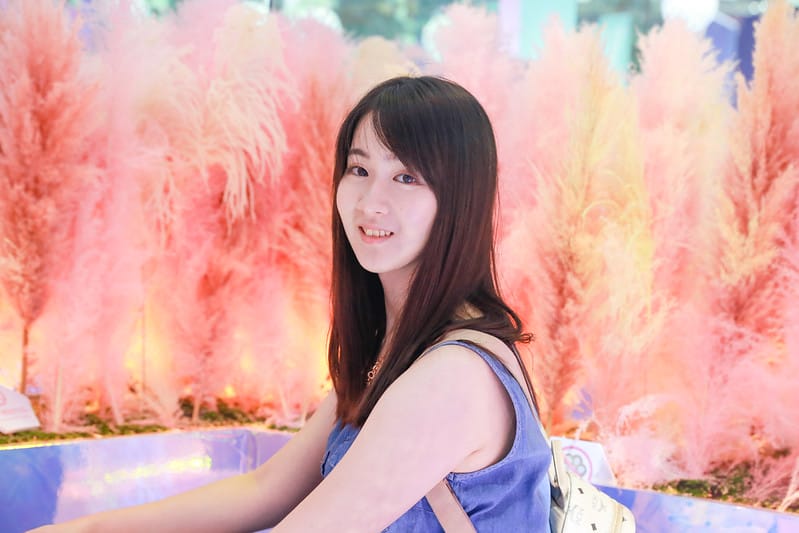 跳到兔子洞