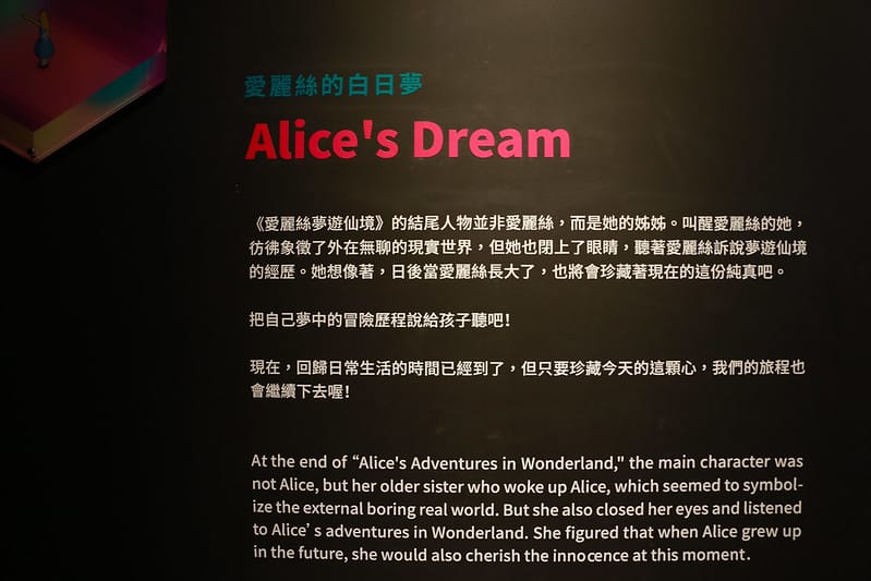 跳到兔子洞