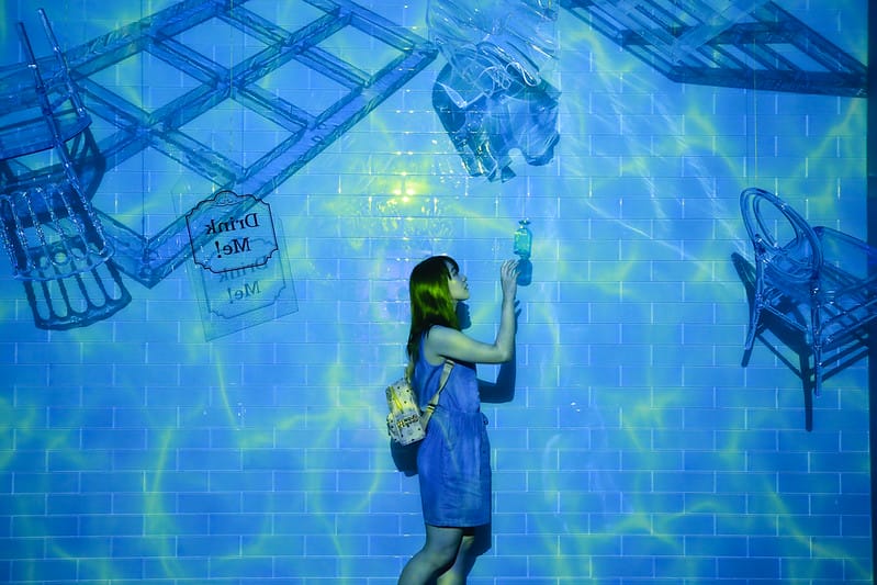 跳到兔子洞