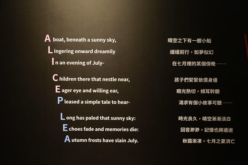 跳到兔子洞