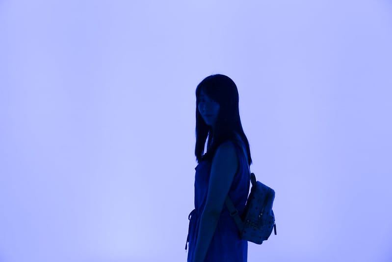 跳到兔子洞