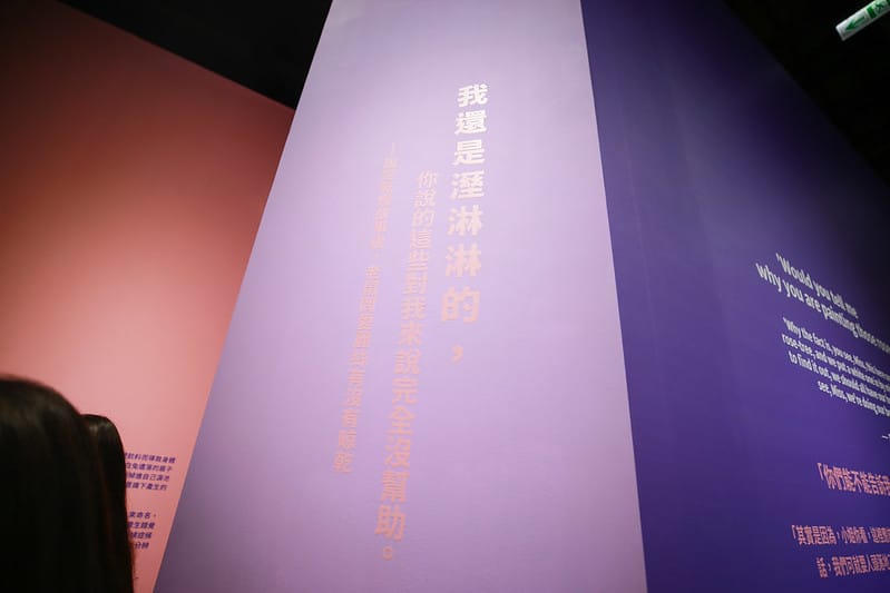 跳到兔子洞