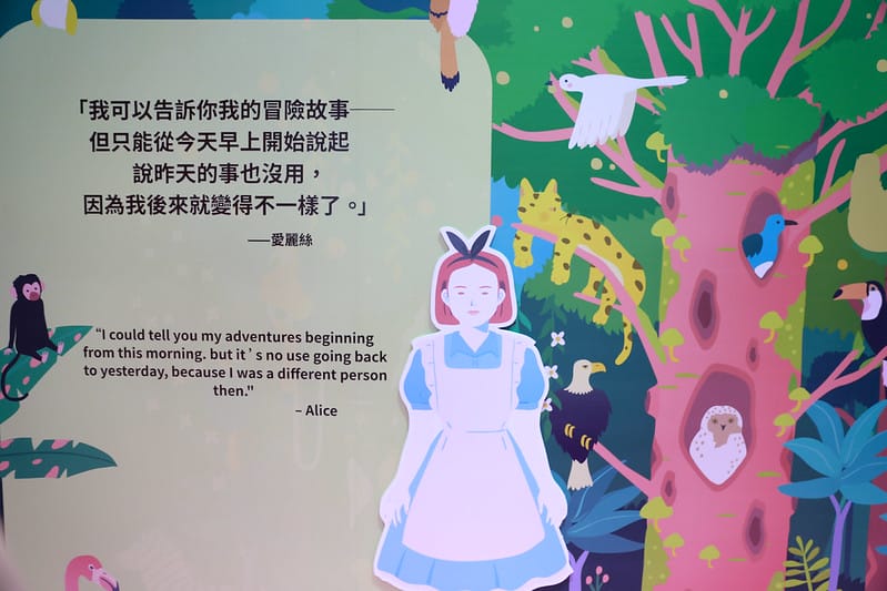 跳到兔子洞