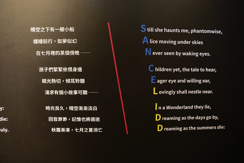 跳到兔子洞