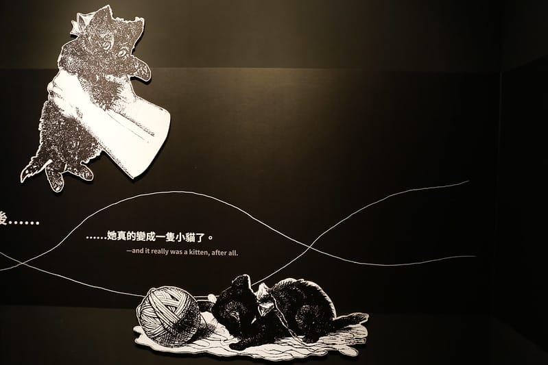 跳到兔子洞