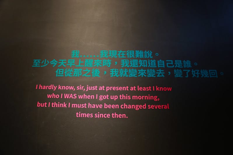 跳到兔子洞