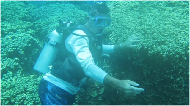 【GUAM。關島】到關島一定要潛水(by我2011時的無名潛水日誌) - 第6張圖 關島潛水