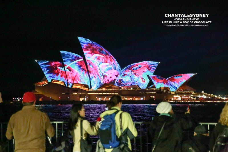 【SYDNEY。雪梨】冬天來到雪梨千萬別錯過一年一度的”VIVID Sydney”雪梨燈光秀 (雪梨歌劇院主秀) (圖多) - 第46張圖 vivid