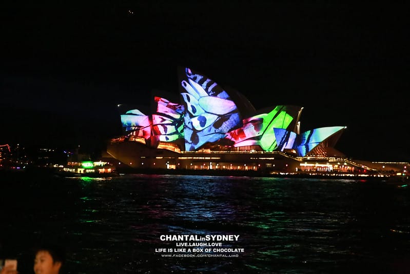 【SYDNEY。雪梨】冬天來到雪梨千萬別錯過一年一度的”VIVID Sydney”雪梨燈光秀 (雪梨歌劇院主秀) (圖多) - 第43張圖 vivid
