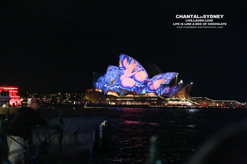 【SYDNEY。雪梨】冬天來到雪梨千萬別錯過一年一度的”VIVID Sydney”雪梨燈光秀 (雪梨歌劇院主秀) (圖多) - 第37張圖 vivid