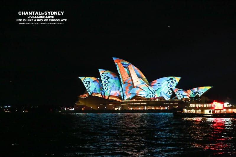 【SYDNEY。雪梨】冬天來到雪梨千萬別錯過一年一度的”VIVID Sydney”雪梨燈光秀 (雪梨歌劇院主秀) (圖多) - 第53張圖 vivid