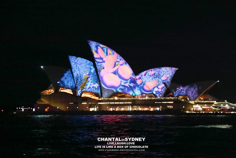 【SYDNEY。雪梨】冬天來到雪梨千萬別錯過一年一度的”VIVID Sydney”雪梨燈光秀 (雪梨歌劇院主秀) (圖多) - 第63張圖 vivid