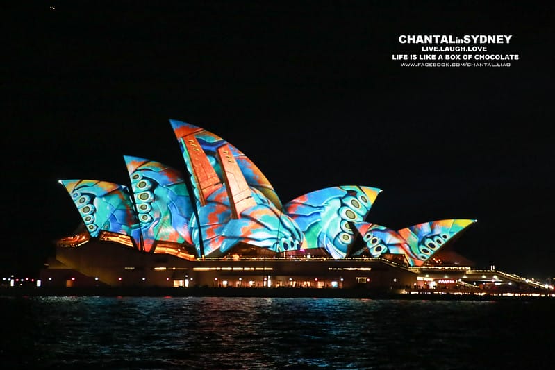 【SYDNEY。雪梨】冬天來到雪梨千萬別錯過一年一度的”VIVID Sydney”雪梨燈光秀 (雪梨歌劇院主秀) (圖多) - 第52張圖 vivid