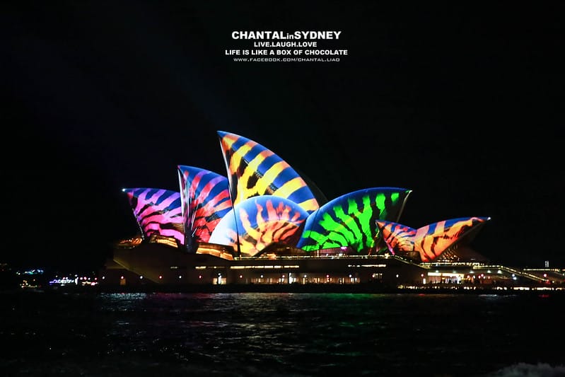 【SYDNEY。雪梨】冬天來到雪梨千萬別錯過一年一度的”VIVID Sydney”雪梨燈光秀 (雪梨歌劇院主秀) (圖多) - 第45張圖 vivid