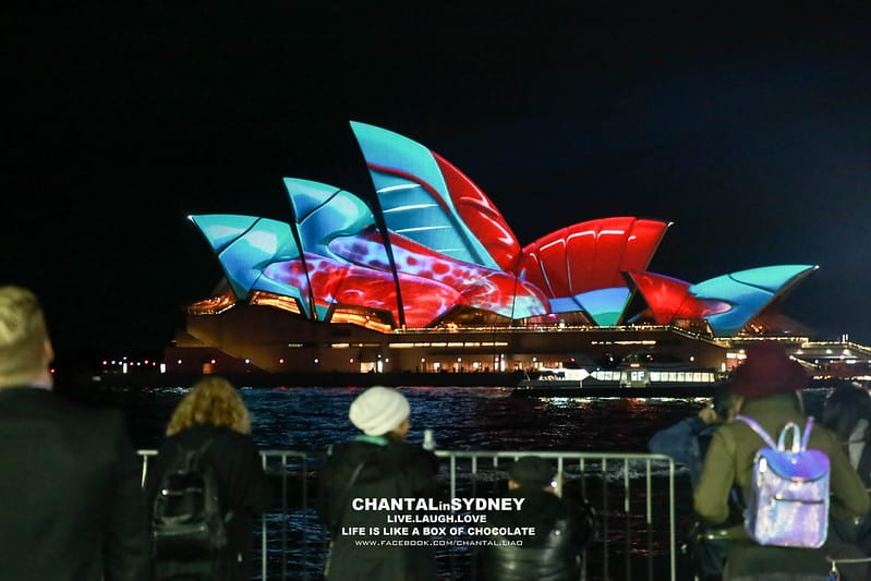 【SYDNEY。雪梨】冬天來到雪梨千萬別錯過一年一度的”VIVID Sydney”雪梨燈光秀 (雪梨歌劇院主秀) (圖多) - 第47張圖 vivid