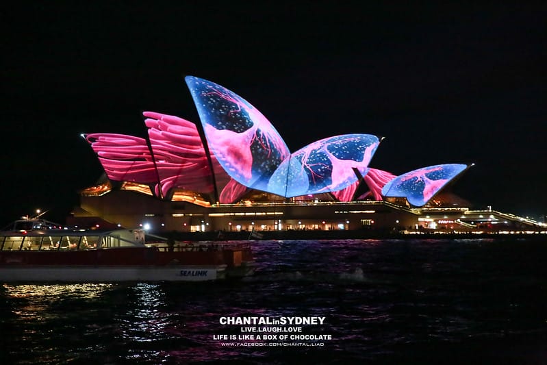 【SYDNEY。雪梨】冬天來到雪梨千萬別錯過一年一度的”VIVID Sydney”雪梨燈光秀 (雪梨歌劇院主秀) (圖多) - 第51張圖 vivid