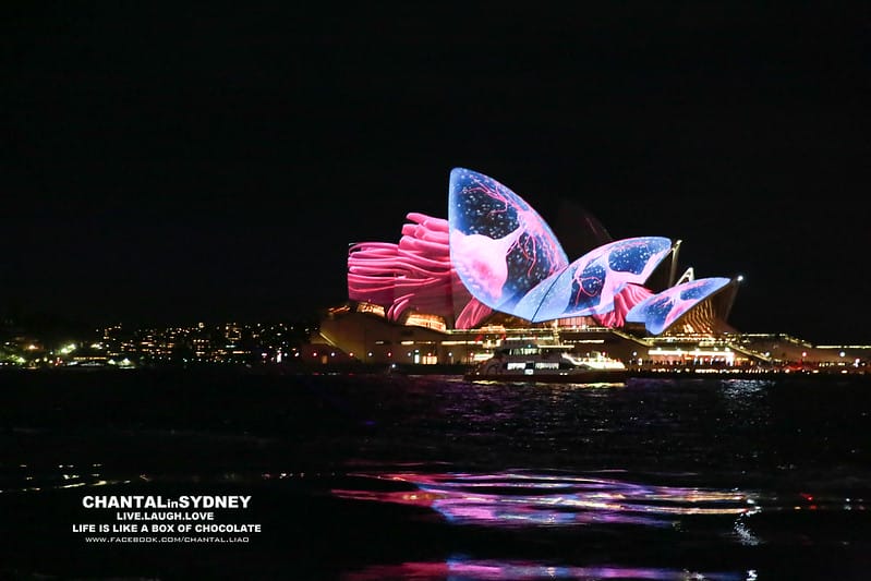 【SYDNEY。雪梨】冬天來到雪梨千萬別錯過一年一度的”VIVID Sydney”雪梨燈光秀 (雪梨歌劇院主秀) (圖多) - 第38張圖 vivid