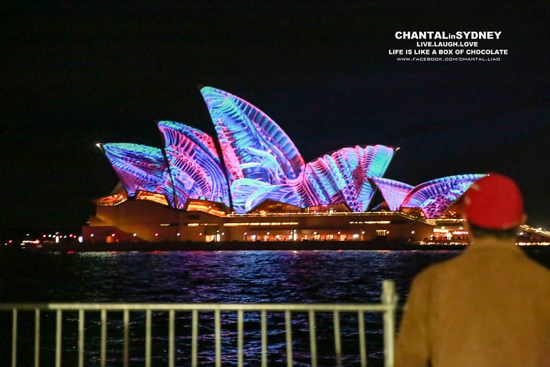 【SYDNEY。雪梨】冬天來到雪梨千萬別錯過一年一度的”VIVID Sydney”雪梨燈光秀 (雪梨歌劇院主秀) (圖多) - 第54張圖 vivid